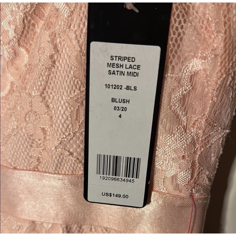 Bebe Blush Striped Mesh Lace Satin Midi Dress - Picture 6 of 6